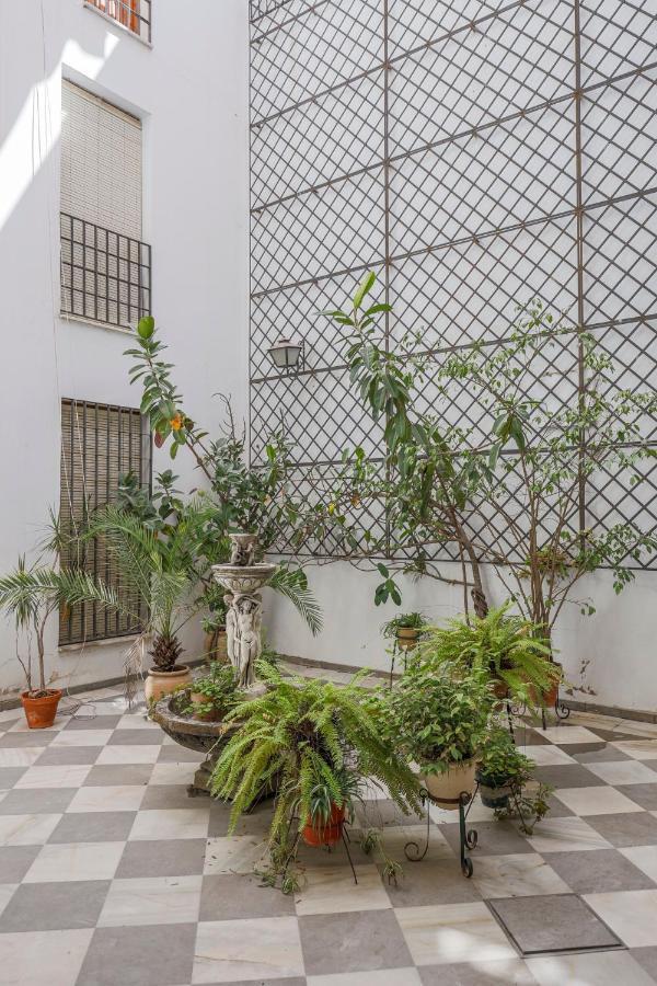 Fantastico Duplex 2 Terrazas 3 Habitaciones 2 Banos Sewilla Zewnętrze zdjęcie